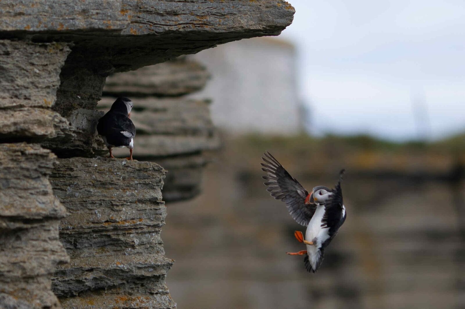 att.lvxhGERABYWMIVnRMPY8m-aMQiM-XoUh4toRuw2ymL8