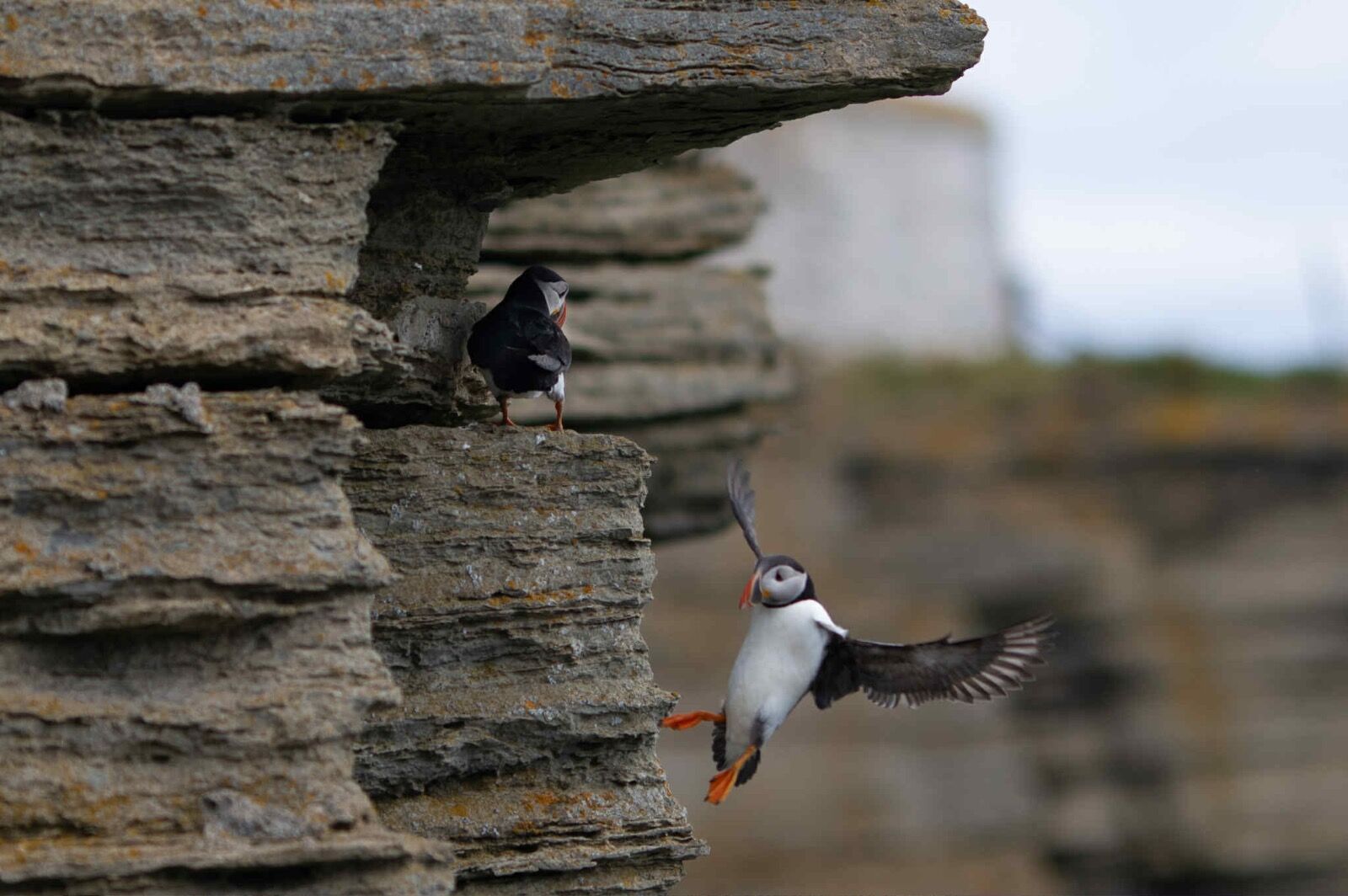 att.s8ErymiU1tPs0COVVuCb9W6fpwLmdmL4Qsiv8Mi2bIQ