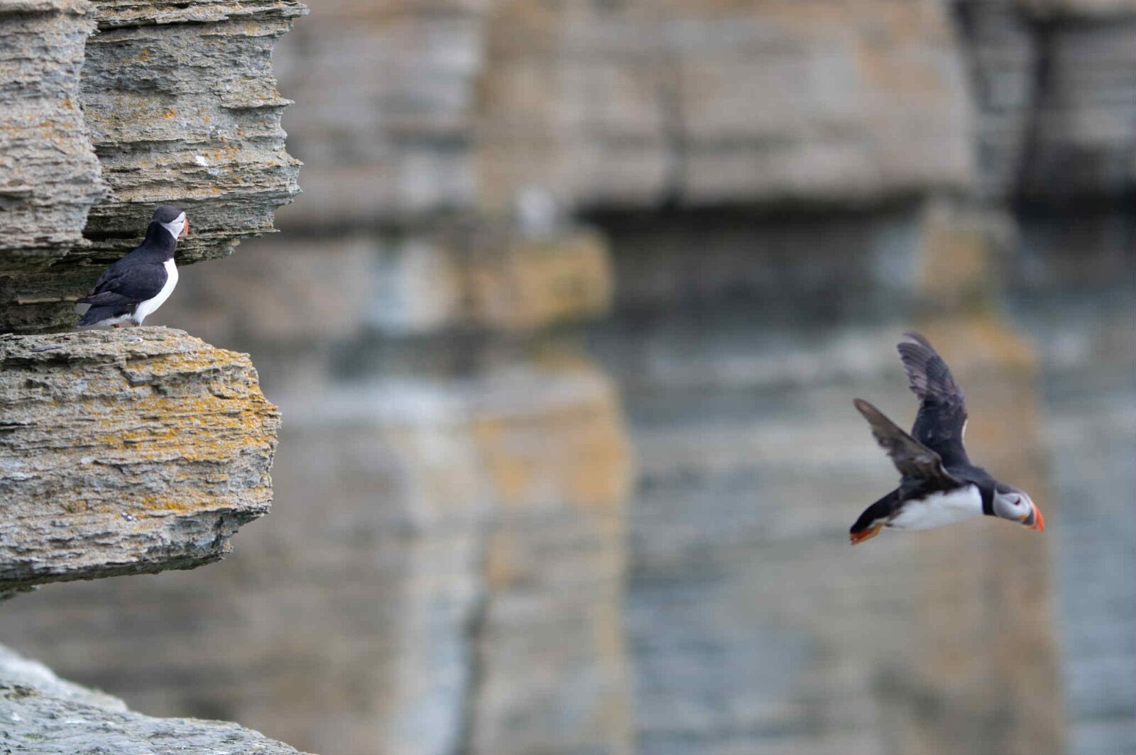 att.utSHx073IFlQ3iuPg8ldA-LnYw0SvfAFYm0TjtkFDKM