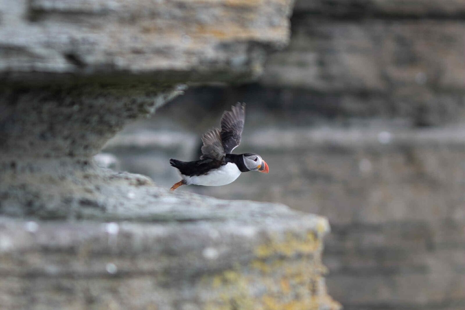 att.yORskEndFntfSvmVXe31IM2gHv9 FieJE8APmjDjB2A