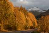 autumn in glen orchy.