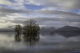 milarrochy bay xmas eve