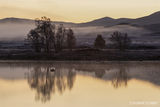 across loch ba at sunrise
