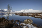 across rannoch moor