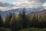 glen orchy
