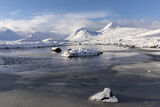 icy rannoch