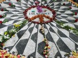 imagine