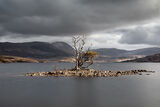 loch assynt island