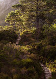 loch maree path
