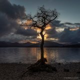 milarrochy sunset.