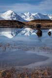 rannoch reflections.