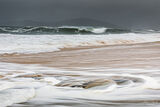 wild harris morning