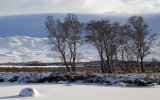 winter's arrived