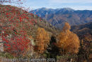 Autumn in the Pyrenees