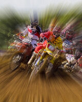 On the edge of the pack