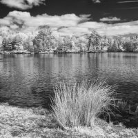 Tarn How Cumbria
