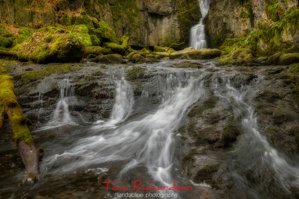 Catrigg Force