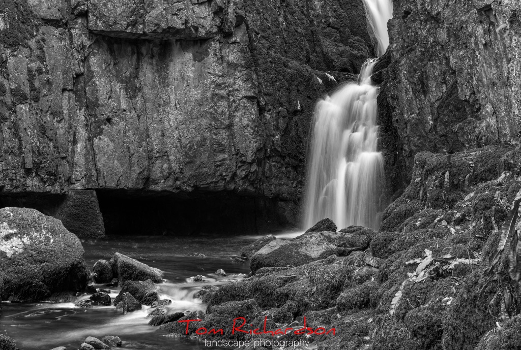 Catrigg Force