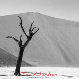 Dead Vlei
