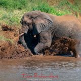 Mud Bathing