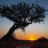 Mashatu Sunset