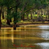 Pan near Pafuri Camp