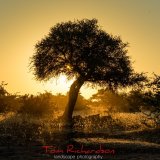 Sunset at Mashatu