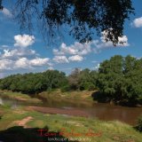 The Luvuvhu River at Pafuri