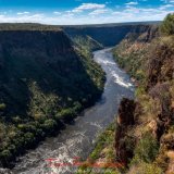 zambezi river