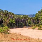 behobeho river bed