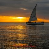 dhow in the sunset
