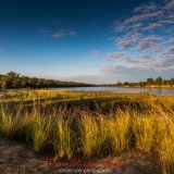 great ruaha river