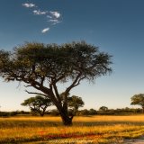 sundown in hwange