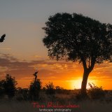 sunset in hwange
