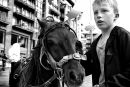 Boy and his horse at Smithfield Horse Fair, Dublin