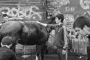 Teenagers washing the horse with a water from a hose