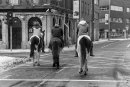 2 horse riders standing ont the street waiting for a green light  at Dublin city centre