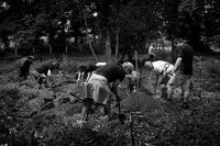 Works at the old German cemetery, Poland