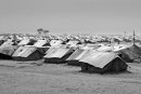 tents at refugee camp Choucha camp, general view