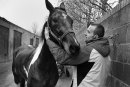 Young man holds the horse by the neck, Dublin