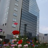 Buildings Monuments-12