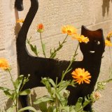 Buildings Monuments-22