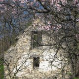 Buildings Monuments-42