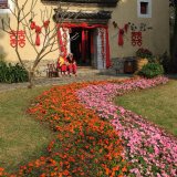 Buildings Monuments-53