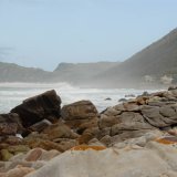 Springs Rivers Oceans-12