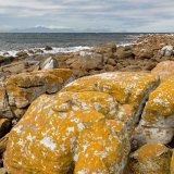 Springs Rivers Oceans-13