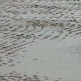 Springs Rivers Oceans-29