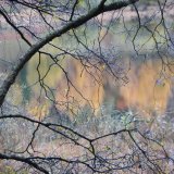 Springs Rivers Oceans-31