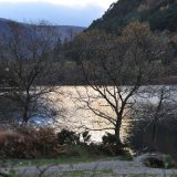 Springs Rivers Oceans-32