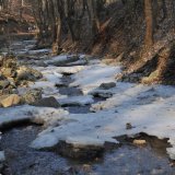 Springs Rivers Oceans-34